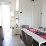 Experience The Charm Of Our Flat Apartment *