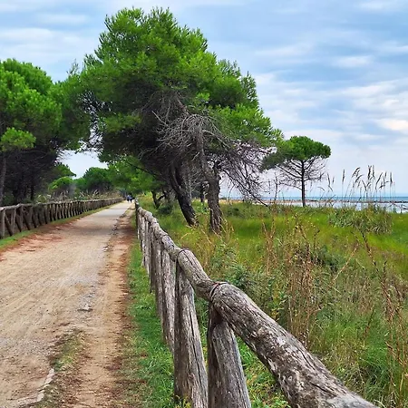 Experience The Charm Of Our Spacious Flat * Bibione